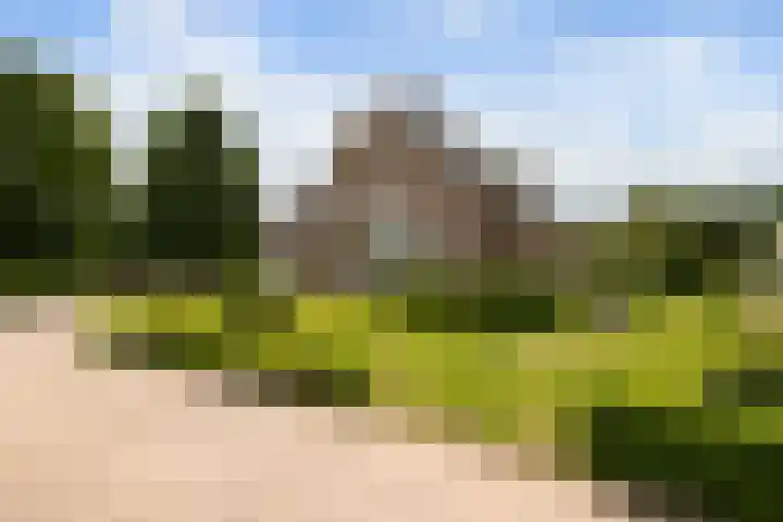Pierestraat 11 Rucphen thumbnail 48