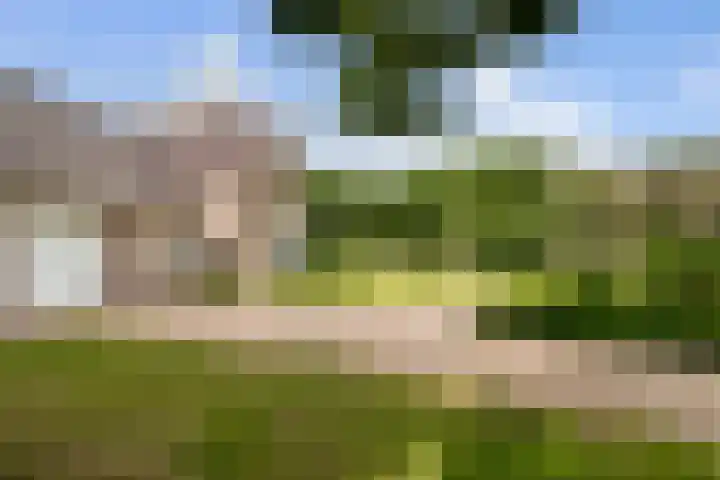 Pierestraat 11 Rucphen thumbnail 49
