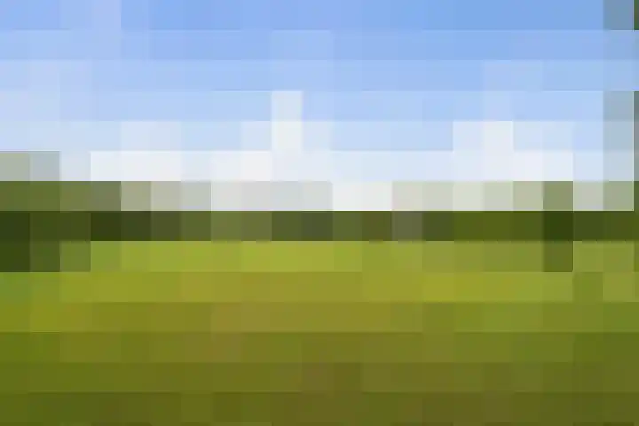 Pierestraat 11 Rucphen thumbnail 5