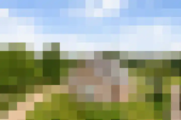 Pierestraat 11 Rucphen thumbnail 52