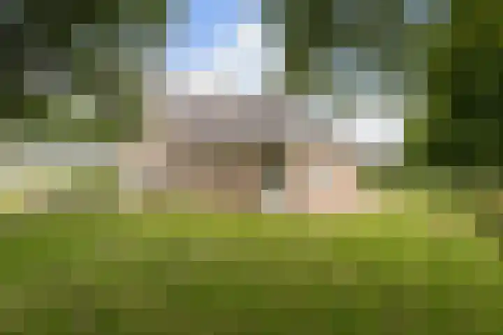 Pierestraat 11 Rucphen thumbnail 53