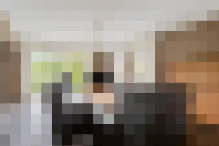 Pierestraat 11 Rucphen thumbnail 8
