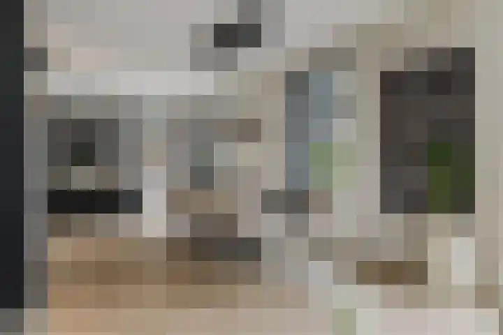 Pierestraat 5 A Rucphen thumbnail 10