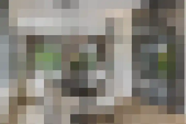 Pierestraat 5 A Rucphen thumbnail 12