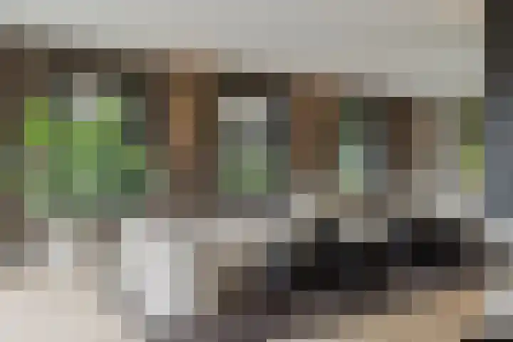 Pierestraat 5 A Rucphen thumbnail 14