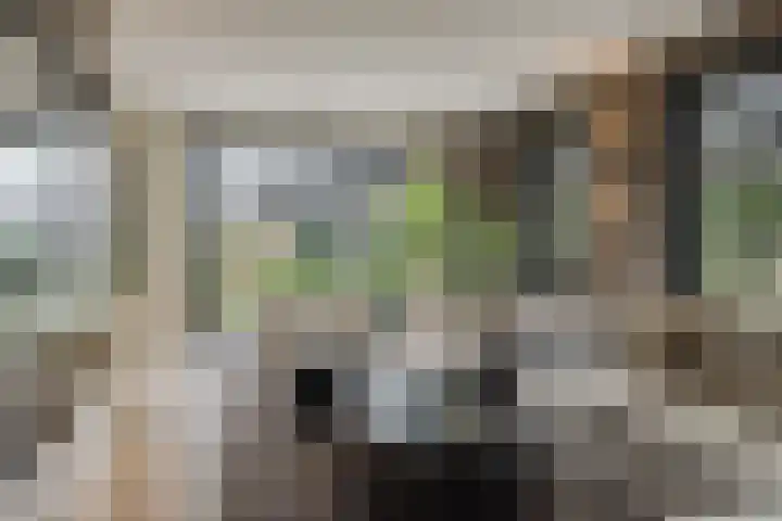 Pierestraat 5 A Rucphen thumbnail 15