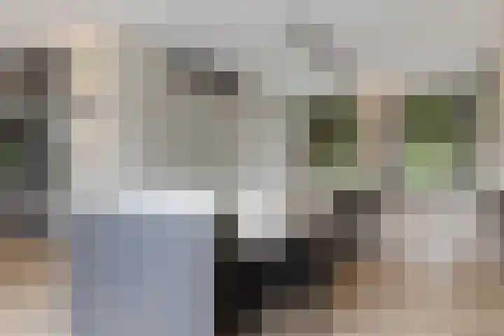 Pierestraat 5 A Rucphen thumbnail 18