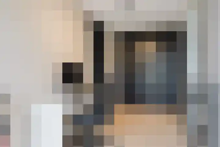 Pierestraat 5 A Rucphen thumbnail 27