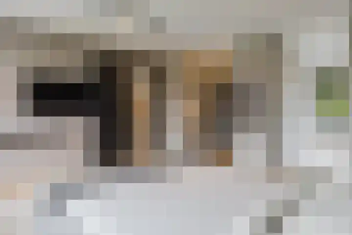Pierestraat 5 A Rucphen thumbnail 32