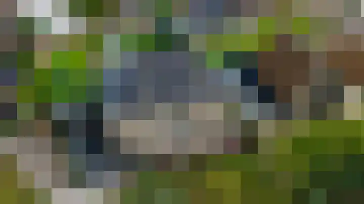 Pierestraat 5 A Rucphen thumbnail 54