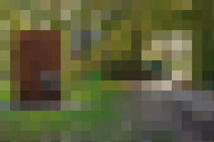 Pierestraat 5 A Rucphen thumbnail 57