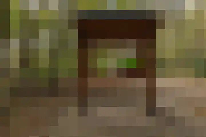 Pierestraat 5 A Rucphen thumbnail 60