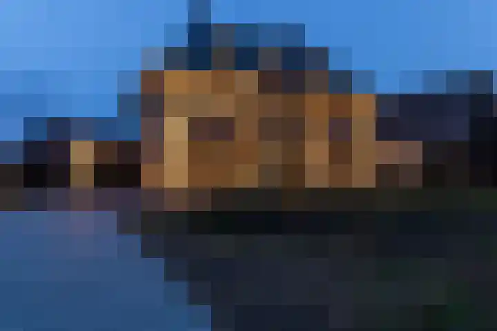 Pierestraat 5 A Rucphen thumbnail 62