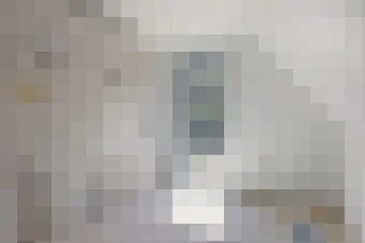 Pierestraat 5 B Rucphen thumbnail 26