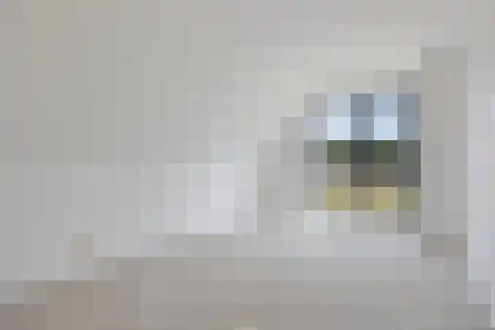 Pierestraat 5 B Rucphen thumbnail 29