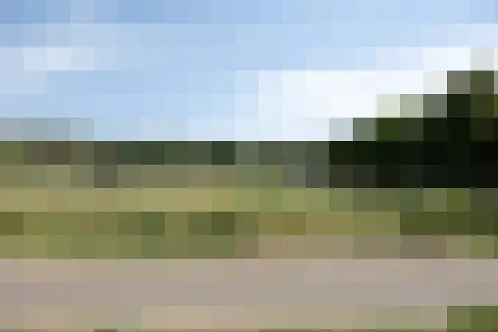 Pierestraat 5 B Rucphen thumbnail 30