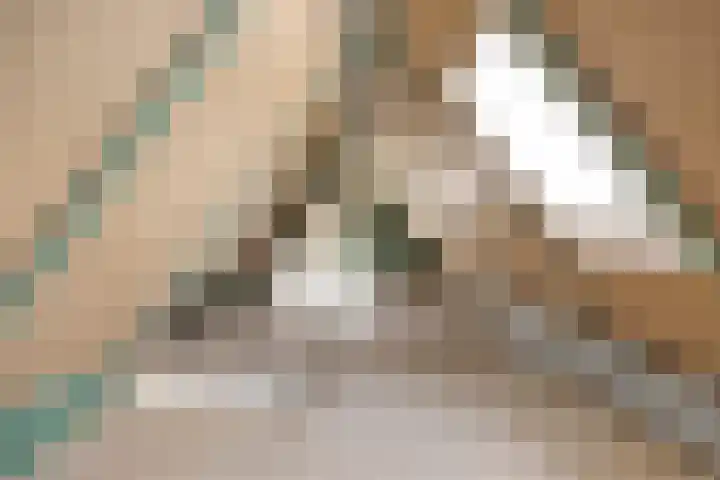 Pierestraat 5 B Rucphen thumbnail 35