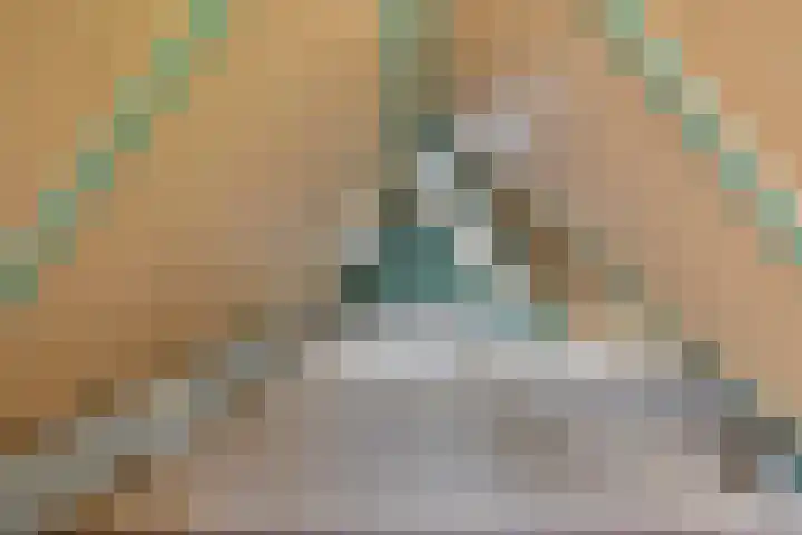 Pierestraat 5 B Rucphen thumbnail 36