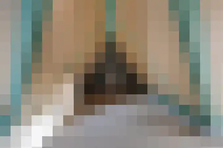 Pierestraat 5 B Rucphen thumbnail 37