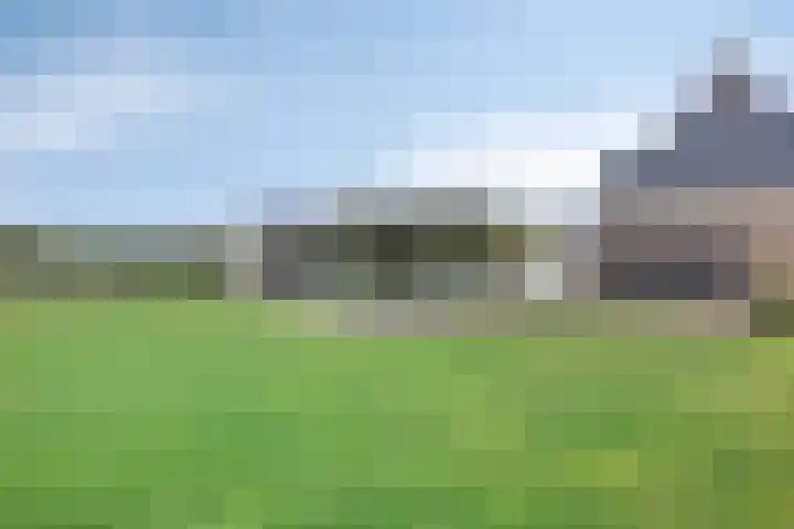 Pierestraat 5 B Rucphen thumbnail 45