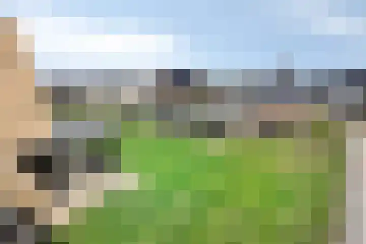 Pierestraat 5 B Rucphen thumbnail 52