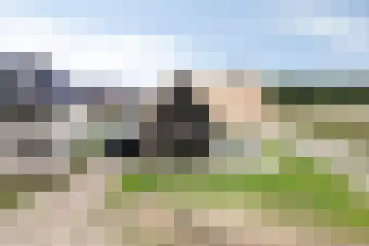 Pierestraat 5 B Rucphen thumbnail 53