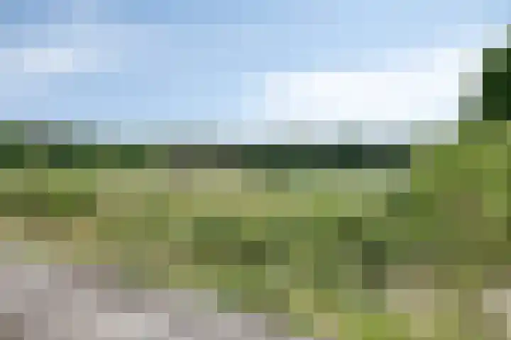 Pierestraat 5 B Rucphen thumbnail 55