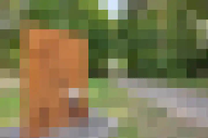 Pierestraat 5 B Rucphen thumbnail 56