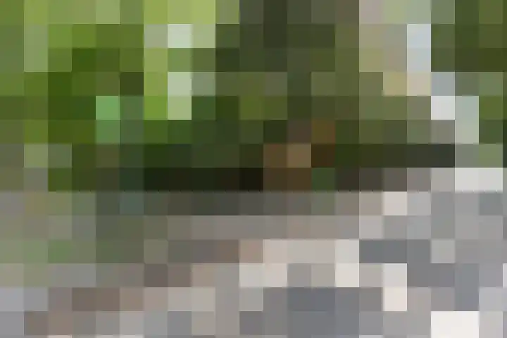 Pierestraat 5 B Rucphen thumbnail 57