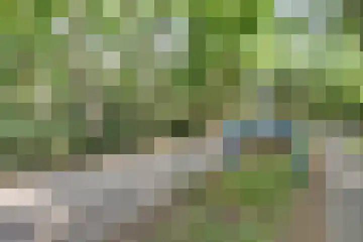 Pierestraat 5 B Rucphen thumbnail 59