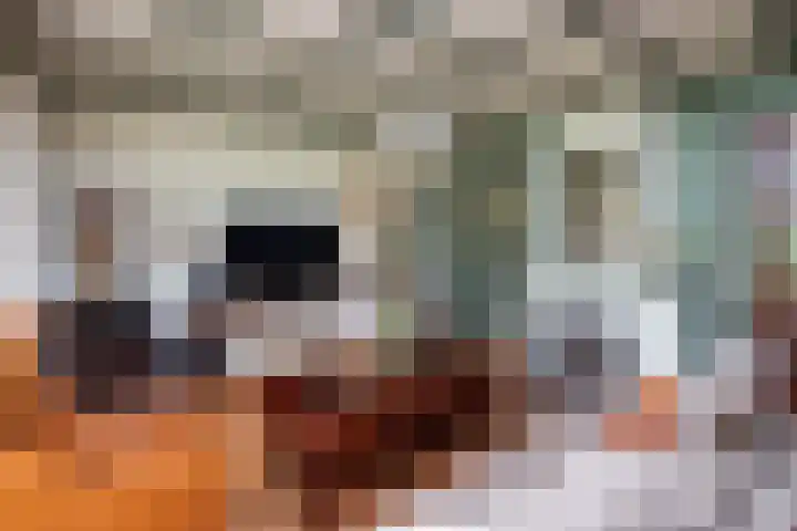 Pierikspad 1 Rossum thumbnail 10