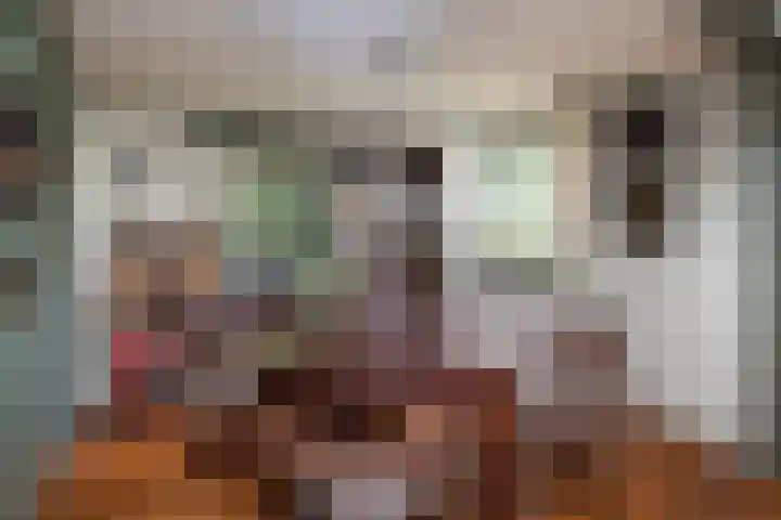 Pierikspad 1 Rossum thumbnail 12