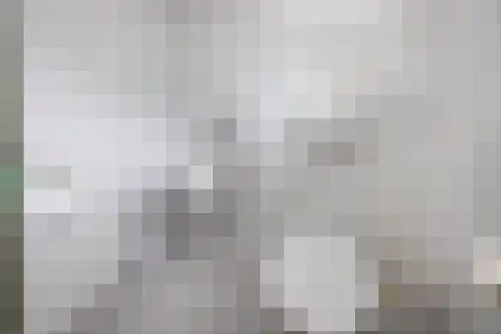 Pierikspad 1 Rossum thumbnail 21