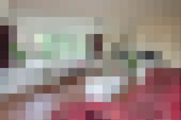 Pierikspad 1 Rossum thumbnail 25