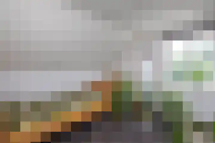 Pierikspad 1 Rossum thumbnail 30