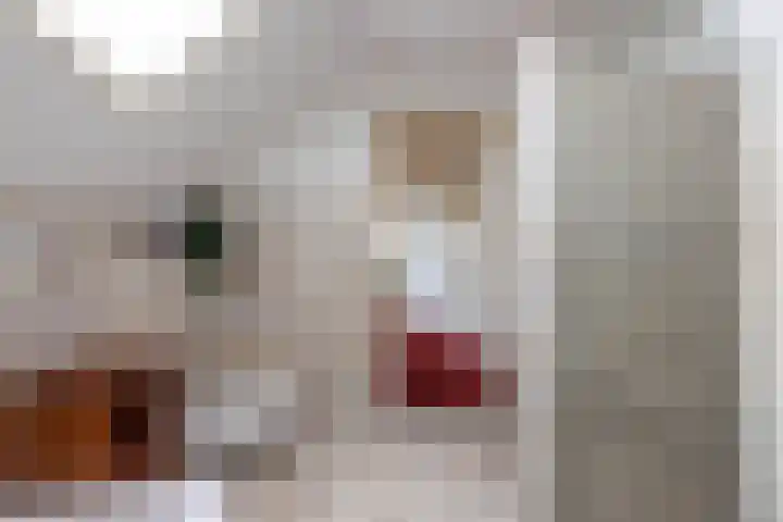 Pierikspad 1 Rossum thumbnail 32