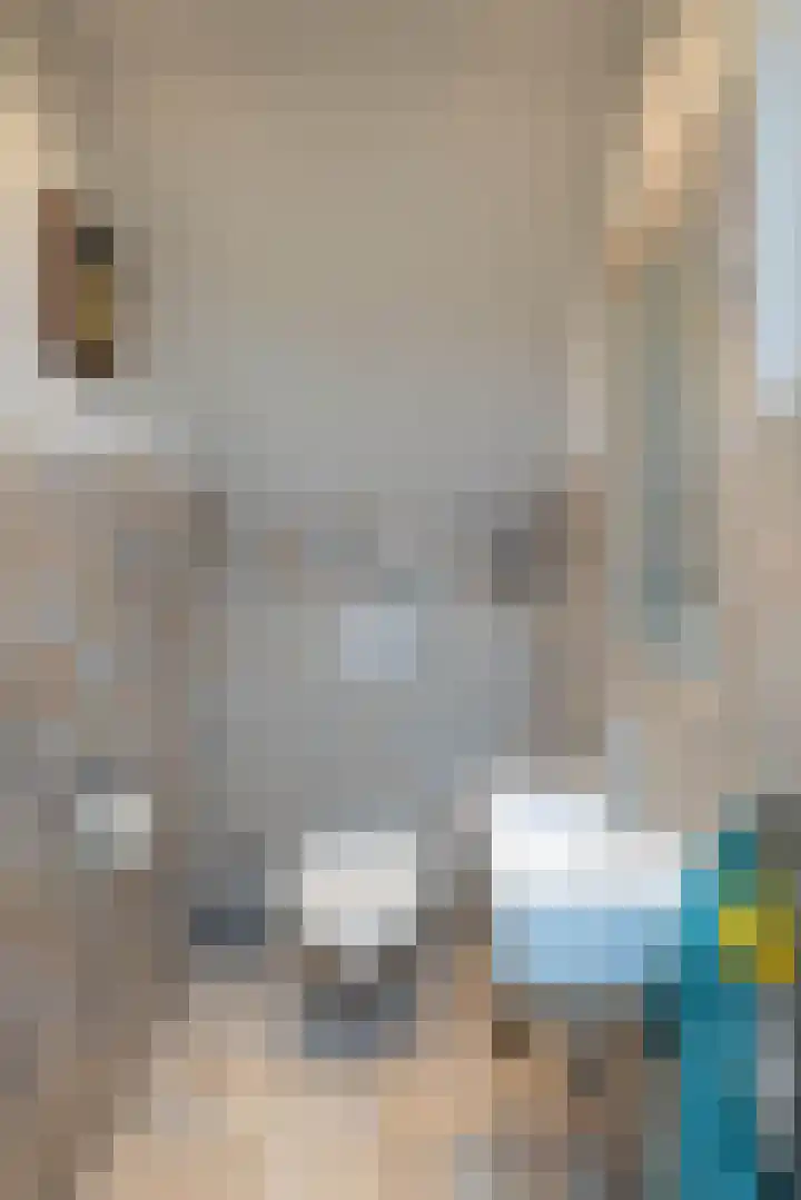 Pierikspad 1 Rossum thumbnail 33