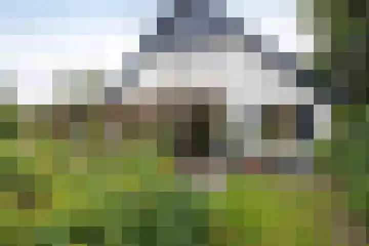 Pierikspad 1 Rossum thumbnail 35