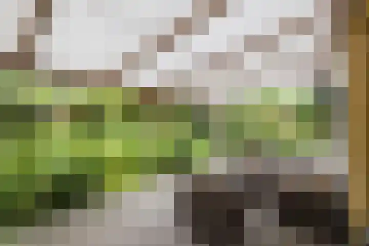 Pierikspad 1 Rossum thumbnail 39