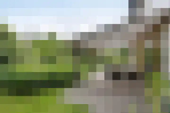 Pierikspad 1 Rossum thumbnail 40