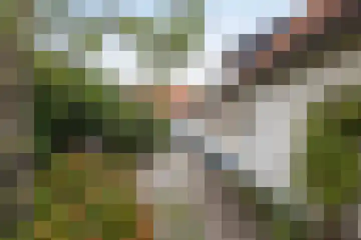 Pierikspad 1 Rossum thumbnail 42