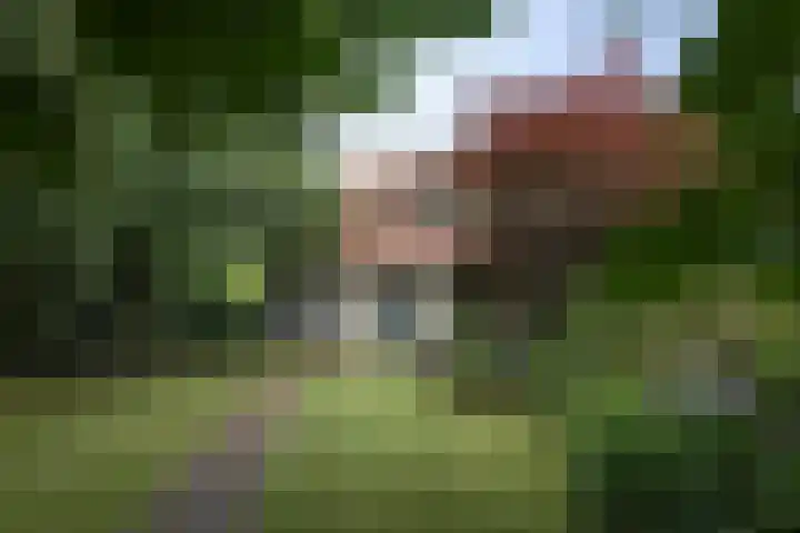 Pierikspad 1 Rossum thumbnail 44