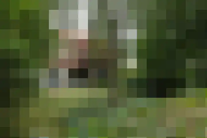 Pierikspad 1 Rossum thumbnail 45