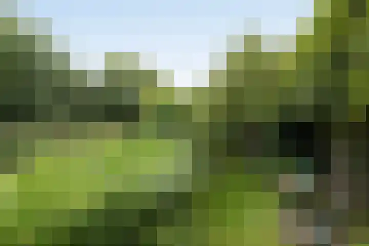 Pierikspad 1 Rossum thumbnail 46