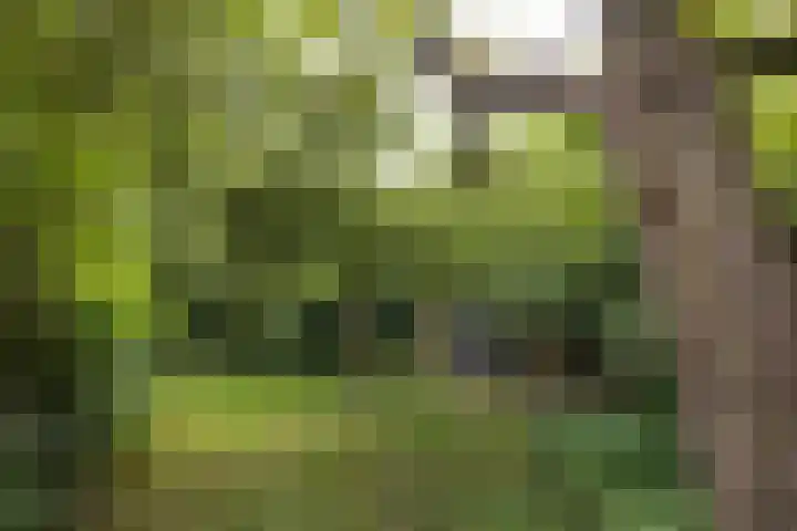 Pierikspad 1 Rossum thumbnail 47