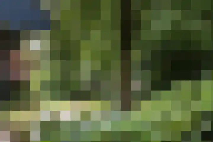 Pierikspad 1 Rossum thumbnail 48