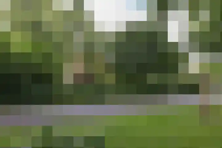 Pierikspad 1 Rossum thumbnail 49
