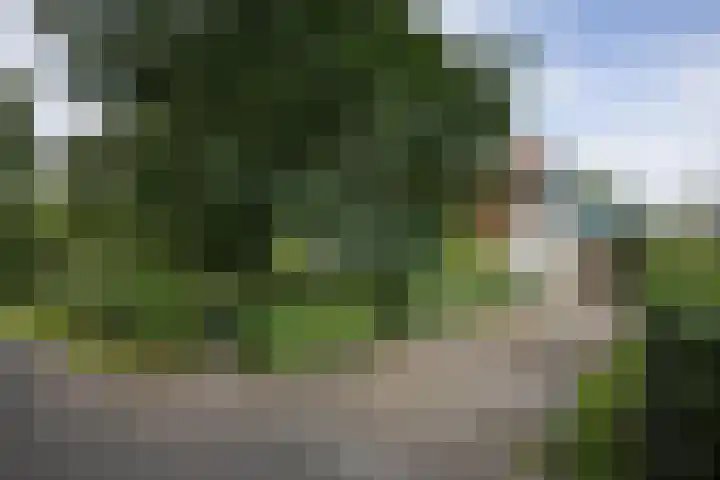 Pierikspad 1 Rossum thumbnail 50