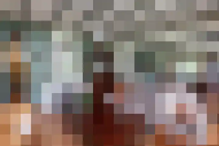 Pierikspad 1 Rossum thumbnail 9