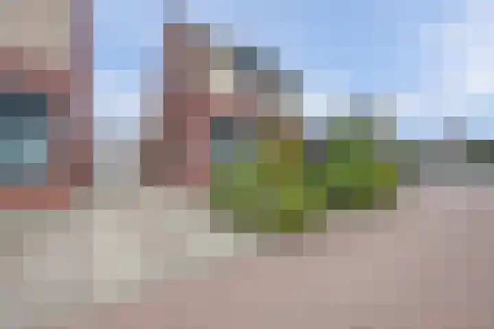 Piermanstraat 9 Krabbendijke thumbnail 30